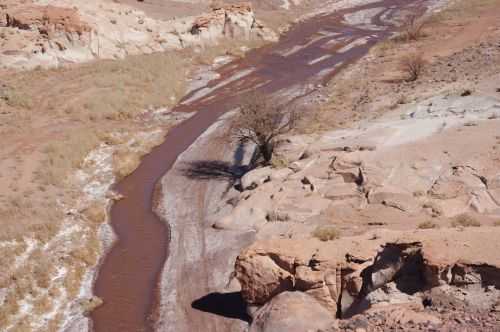 TREKKING NEL DESERTO DI ATACAMA 2015